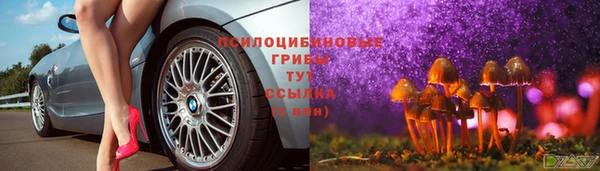 прущий лед Алексин
