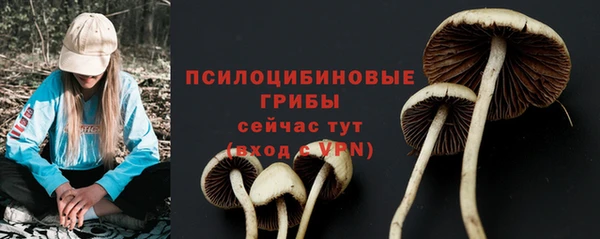 прущий лед Алексин