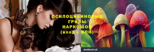 ГАЛЛЮЦИНОГЕННЫЕ ГРИБЫ Абдулино