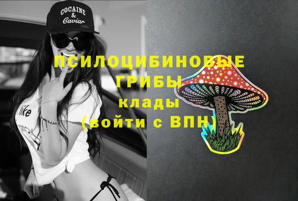 шишки Алексеевка