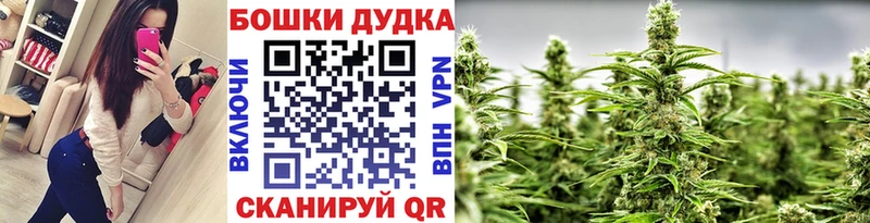 Бошки марихуана семена  наркошоп  Собинка 